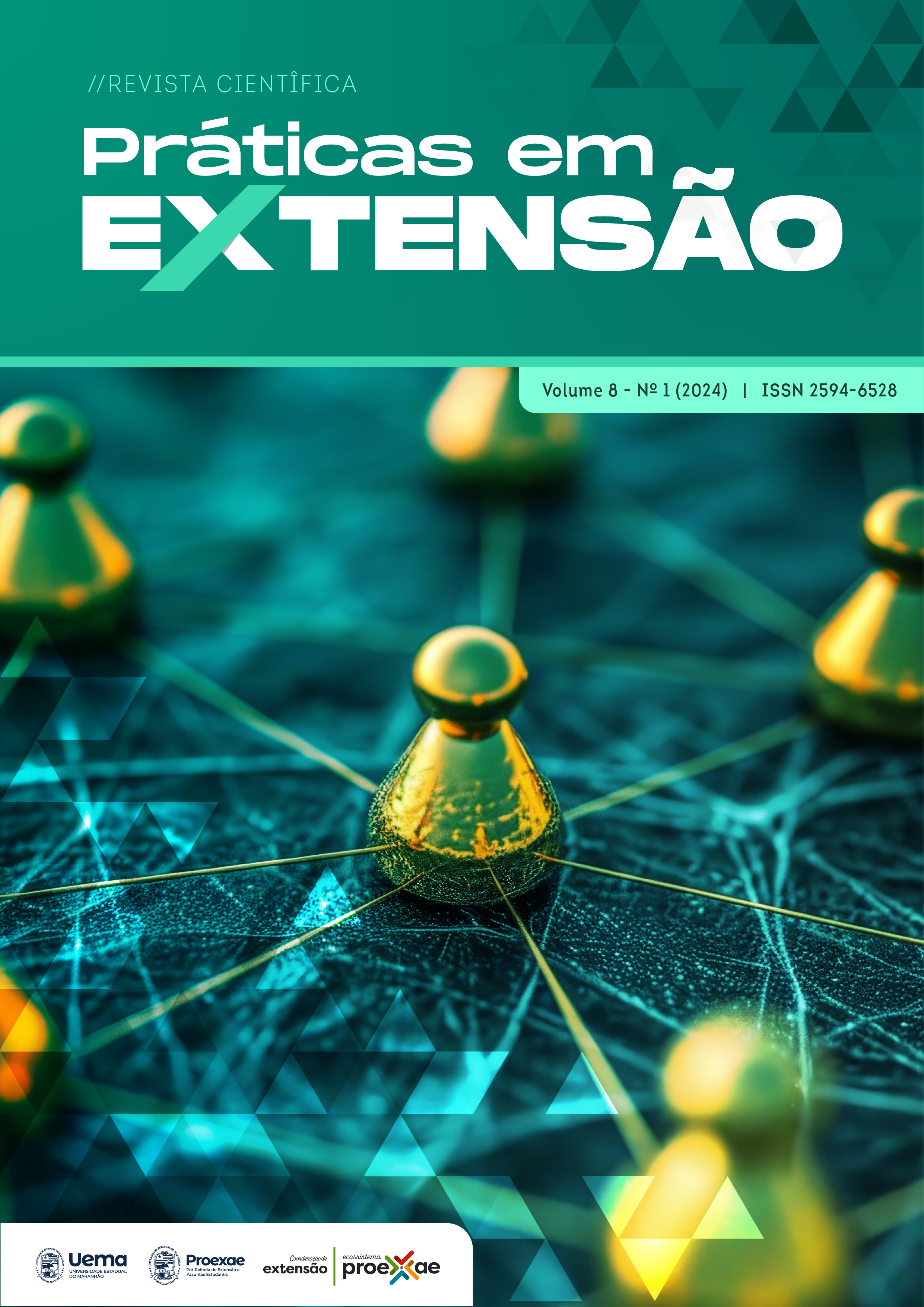 					Ver Vol. 8 Núm. 1 (2024): Revista Práticas em Extensão
				