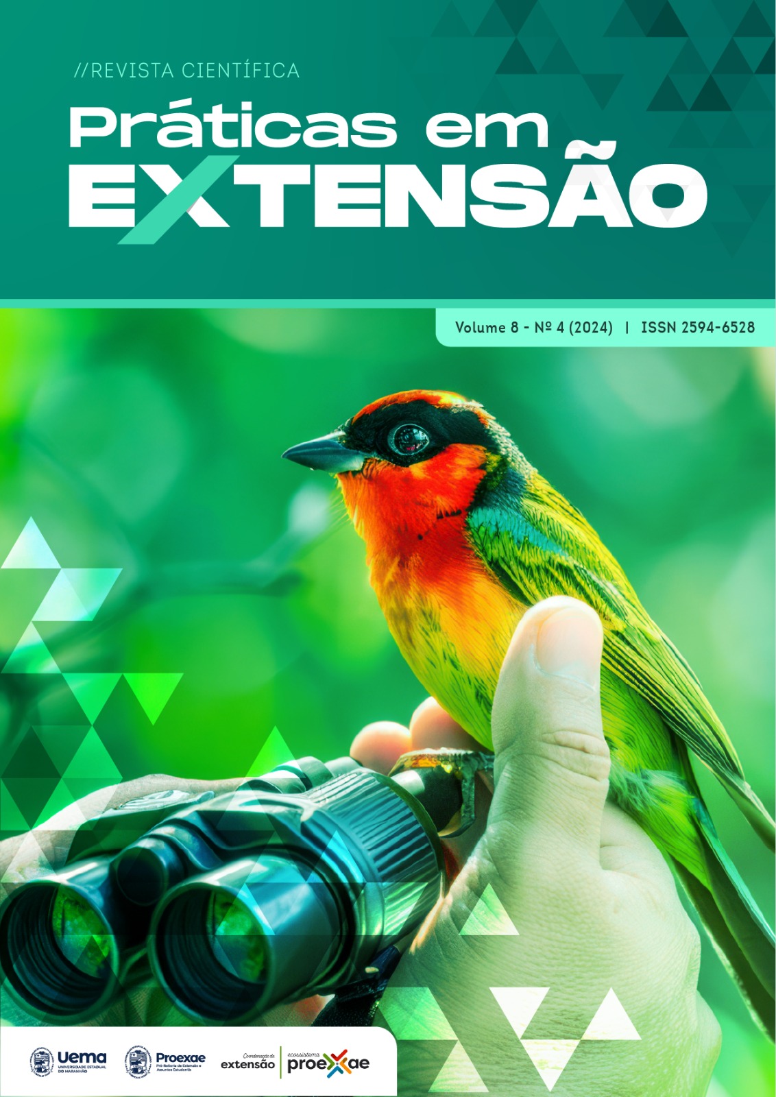 					View Vol. 8 No. 4 (2024): Revista Práticas em Extensão
				